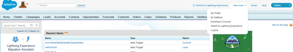 Salesforce Developer Console